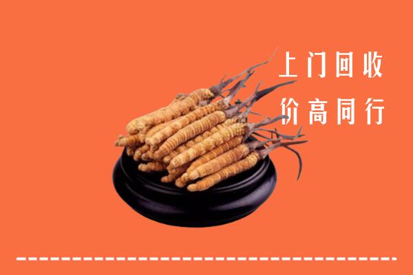 高价求购：乐山市五通桥回收散虫草