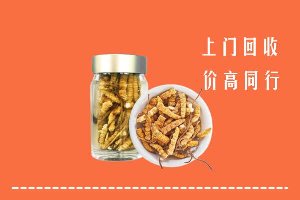 乐山市五通桥回收冬虫夏草